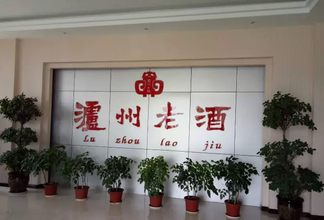 廣西謝氏宗親總會(huì)走進(jìn)四川考察瀘州老酒集團(tuán)等企業(yè)